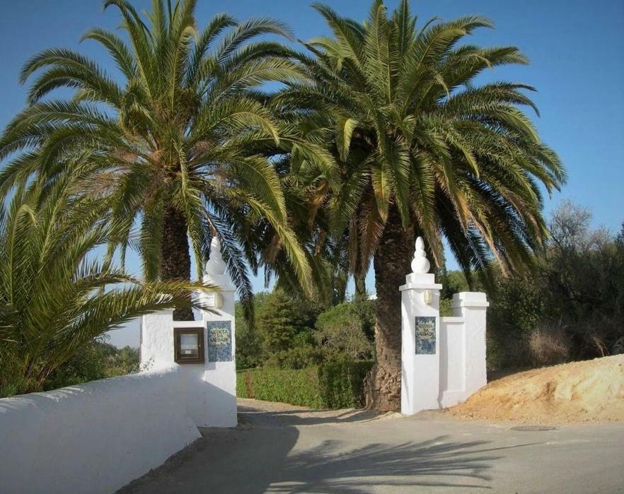 Casa Pura Vida - Fantastic Sea View Villa Pêra Kültér fotó